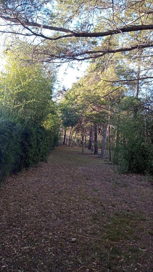 Cabana En Quinta La Aurora Mina Clavero Bagian luar foto