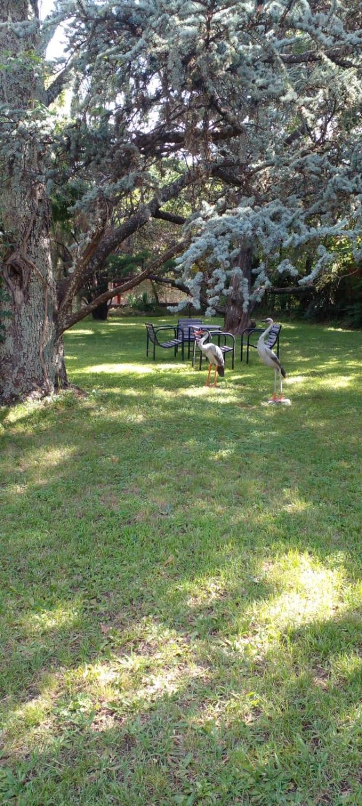 Cabana En Quinta La Aurora Mina Clavero Bagian luar foto