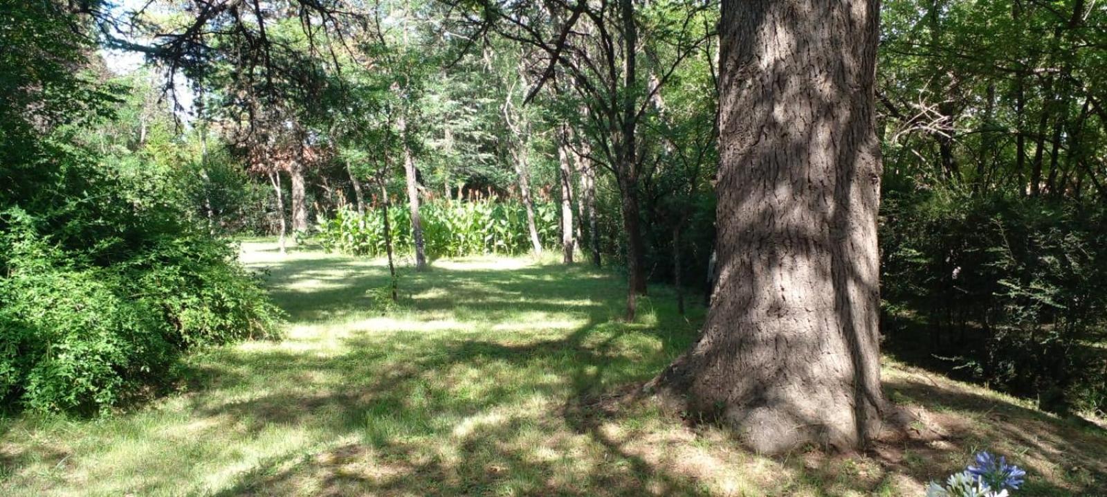 Cabana En Quinta La Aurora Mina Clavero Bagian luar foto