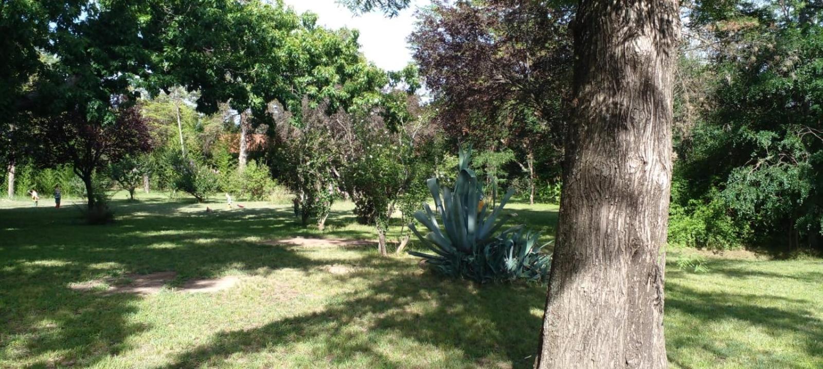 Cabana En Quinta La Aurora Mina Clavero Bagian luar foto